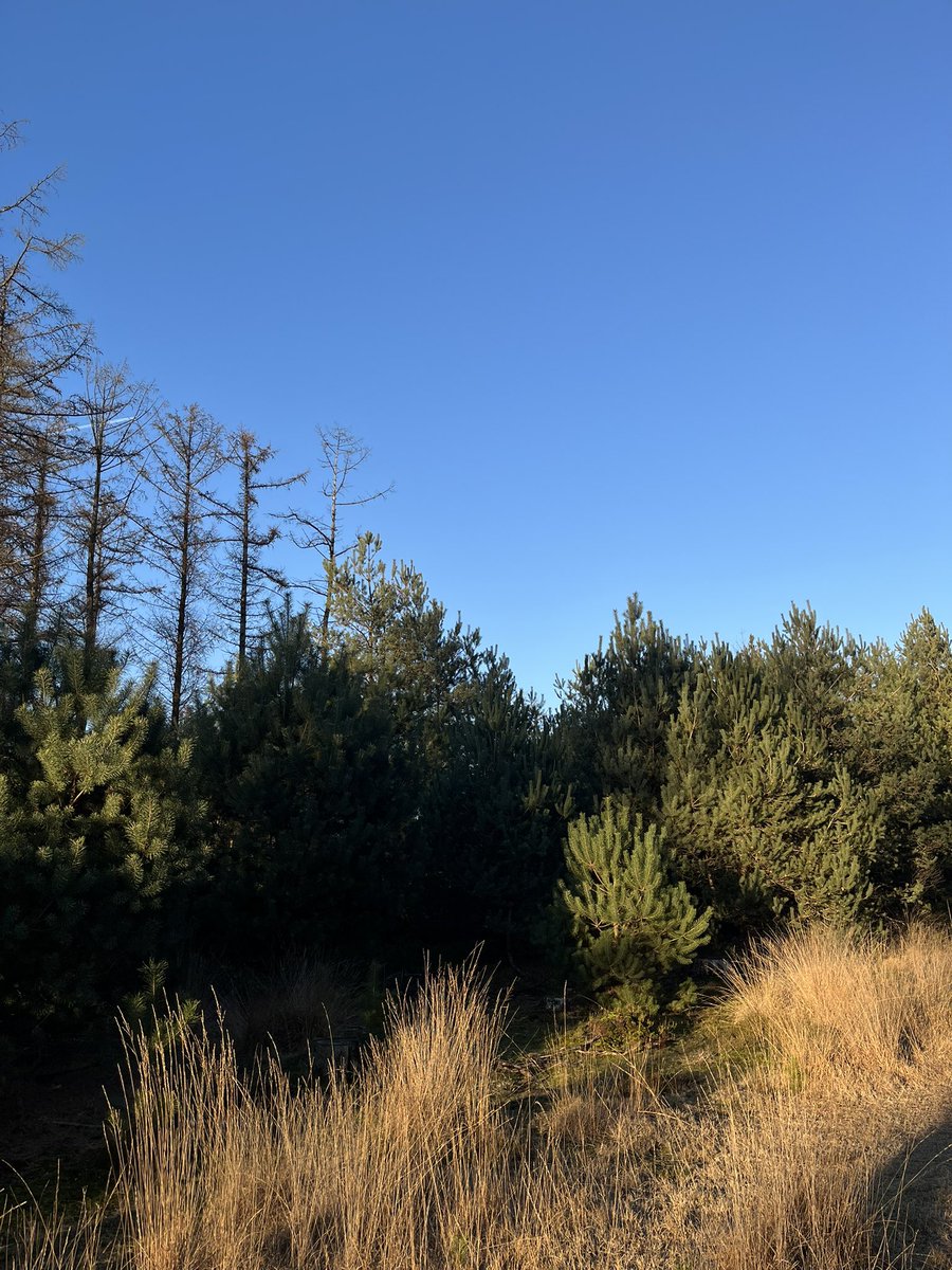 2001Xander's tweet image. even gras aangeraakt