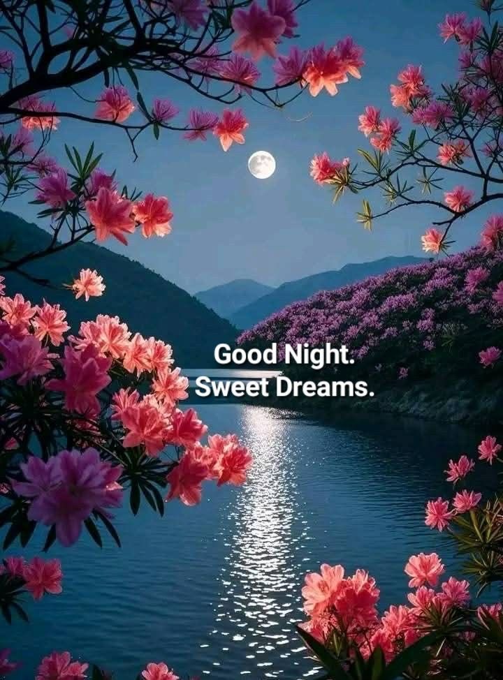 Life feels lighter when you accept lessons gracefully and release the need for perfection.

Good Night 𝕏 Mates 🖤🌿