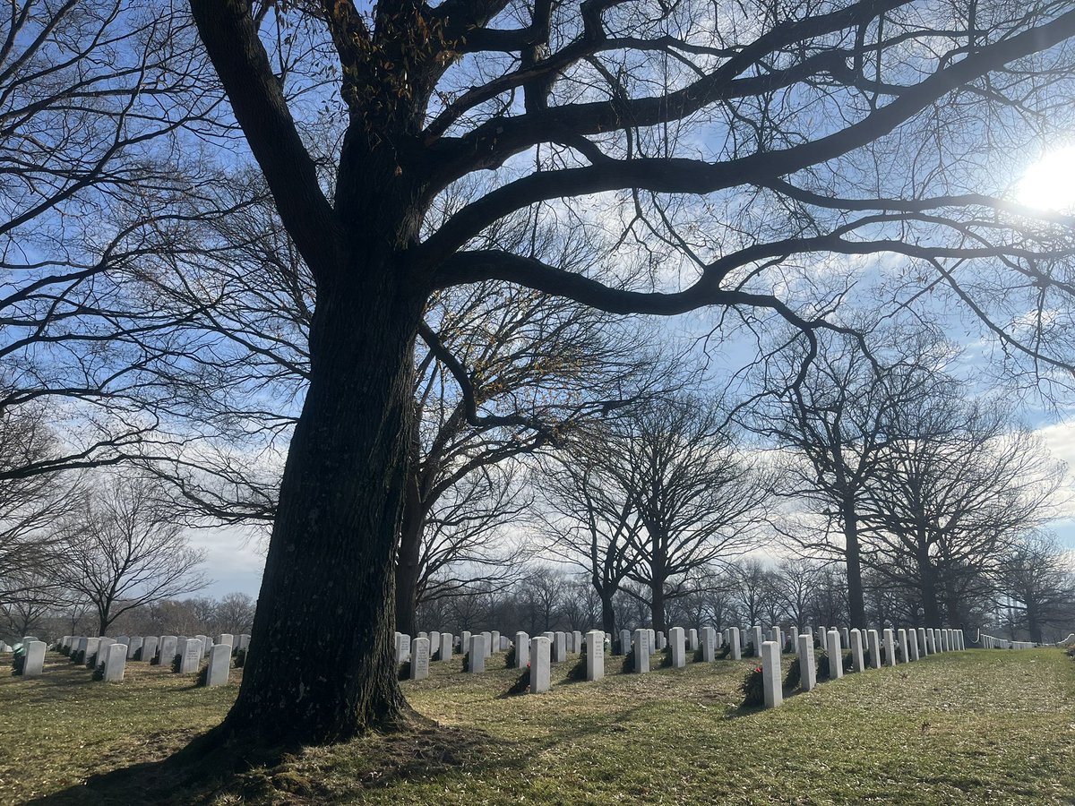 CurtisSChin's tweet image. #USA 🇺🇸 @ArlingtonNatl Cemetery. 
With thanks to @WreathsAcross #America. #ChristmasDay 2025. Remembrance.