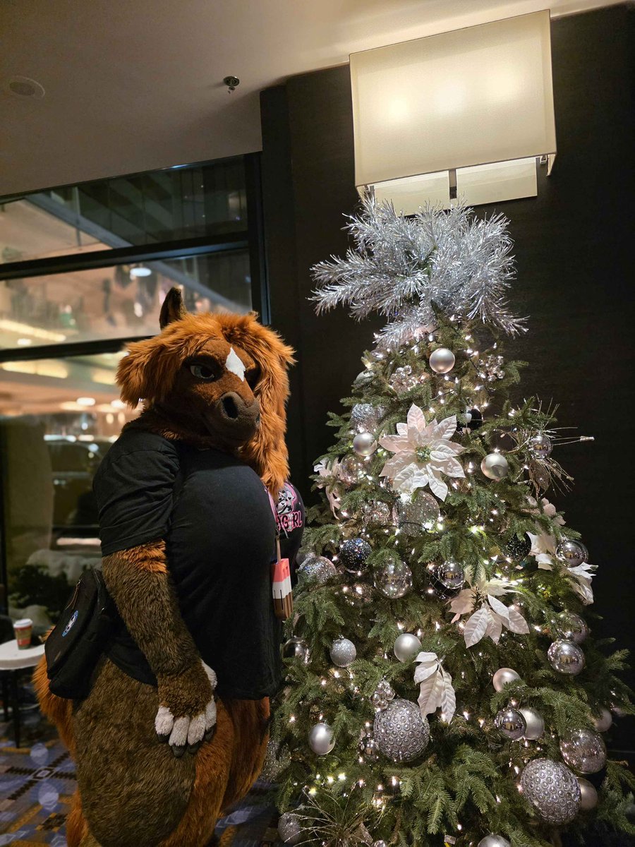 Merry Christmas everyone.   Hopefully your holidays are bright and cheerful.  

#yiff #fursuit #murrsuit #furry