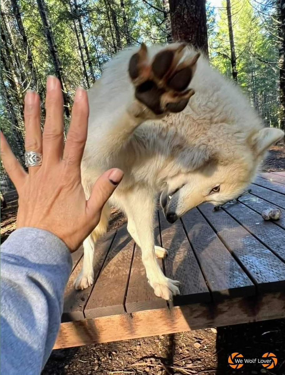 JimmyBelvins's tweet image. 