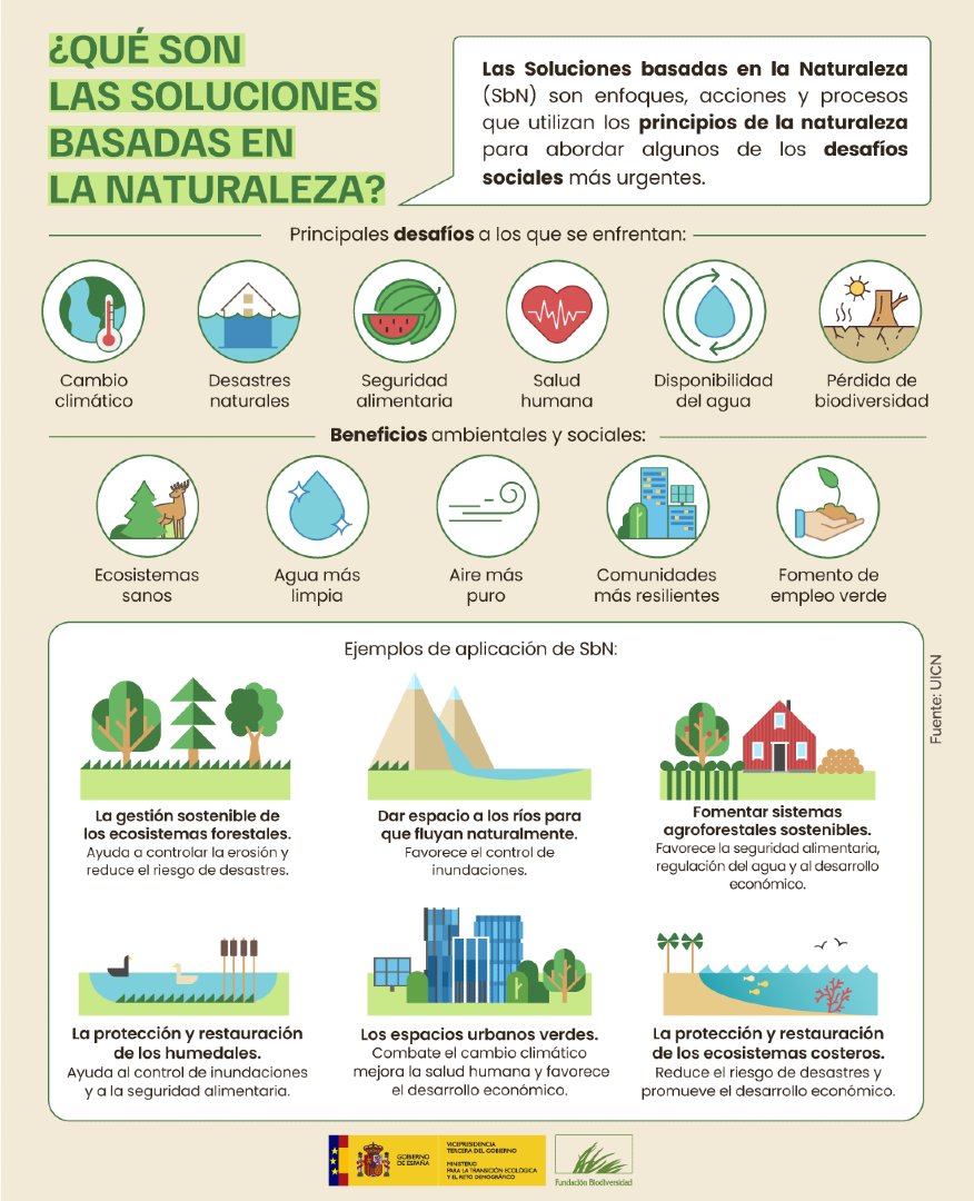 FBiodiversidad's tweet photo. Las Soluciones basadas en la Naturaleza aprovechan la fuerza de los ecosistemas para responder a retos sociales y ambientales 🌿🌍

¿Cómo pueden ayudarnos? 👇👇👇 https://t.co/45vxPEPM7P
