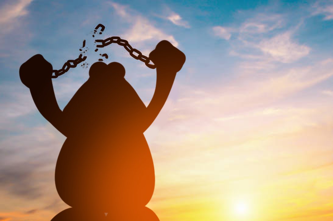 RealGlobox's tweet image. RAYMAN JUST FREED US FROM THE ROBO-PIRATES!!!