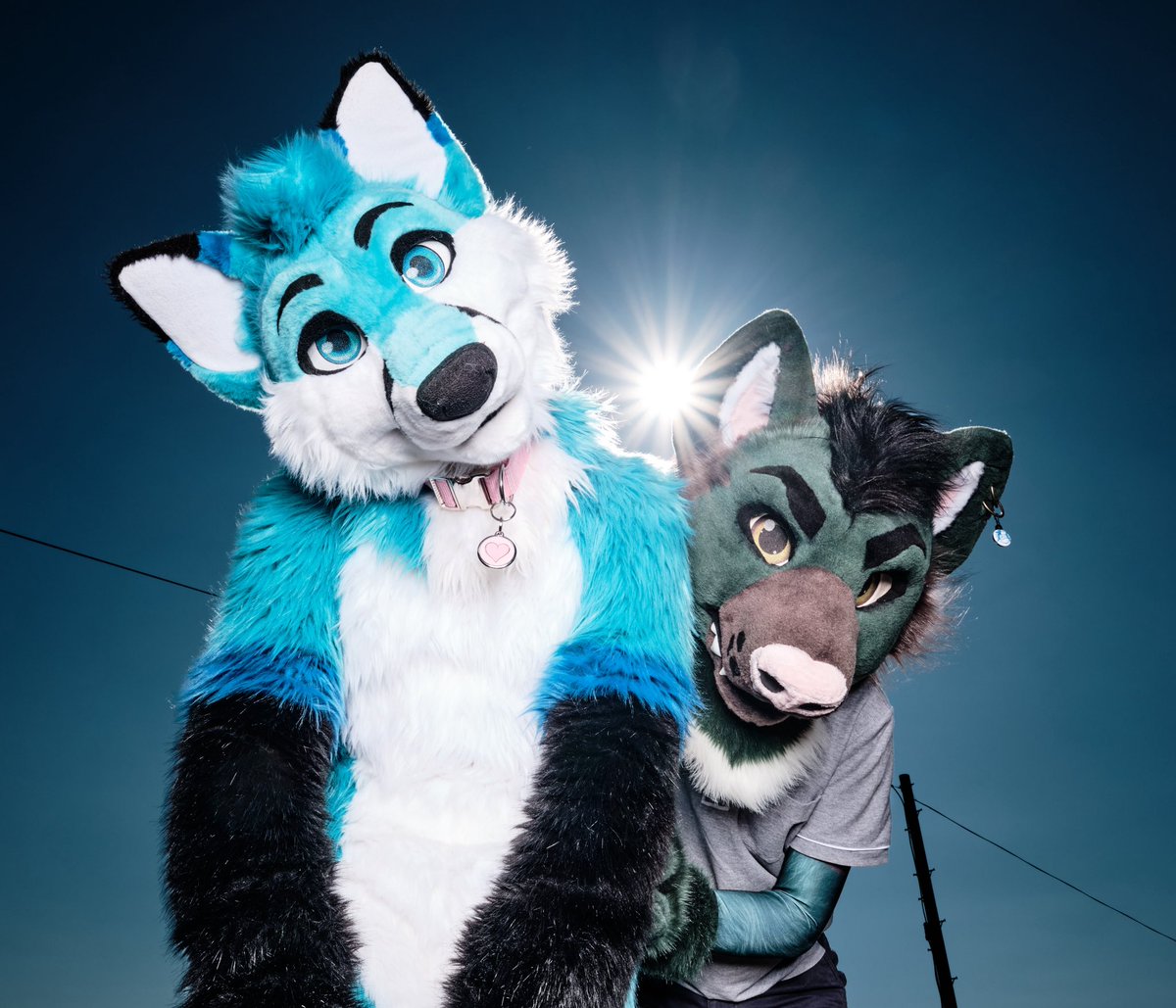 MidoriYeen 🐾 tweet media