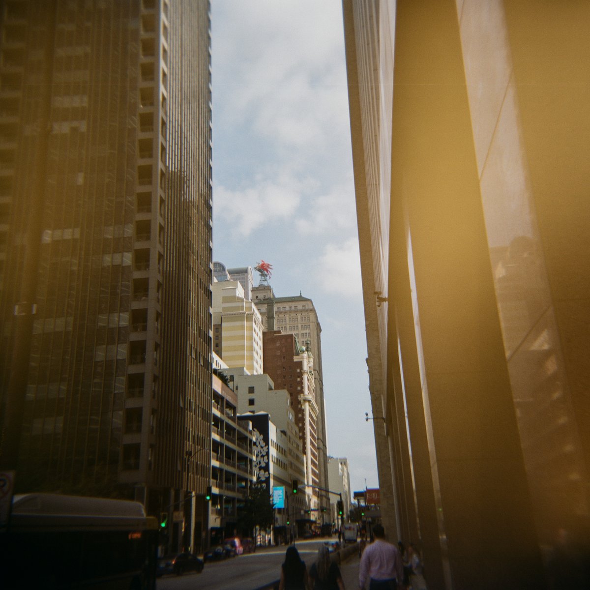 Holga Week tweet media