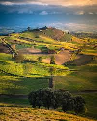 🌤️⛈️ #ClimaCR | ☕🧇¡Buenos días!
Condiciones ventosas en todo el país, ⛈️persiste fresco navideño en el Valle Central, con sectores de intensidad moderada en viento hacia el centro del Pacífico Norte. 🌡️ De 16.1 a 28.5°C. Oreamuno hasta 21.3°C. Puesta del Sol 🕕🌜: 5:35:00 pm.