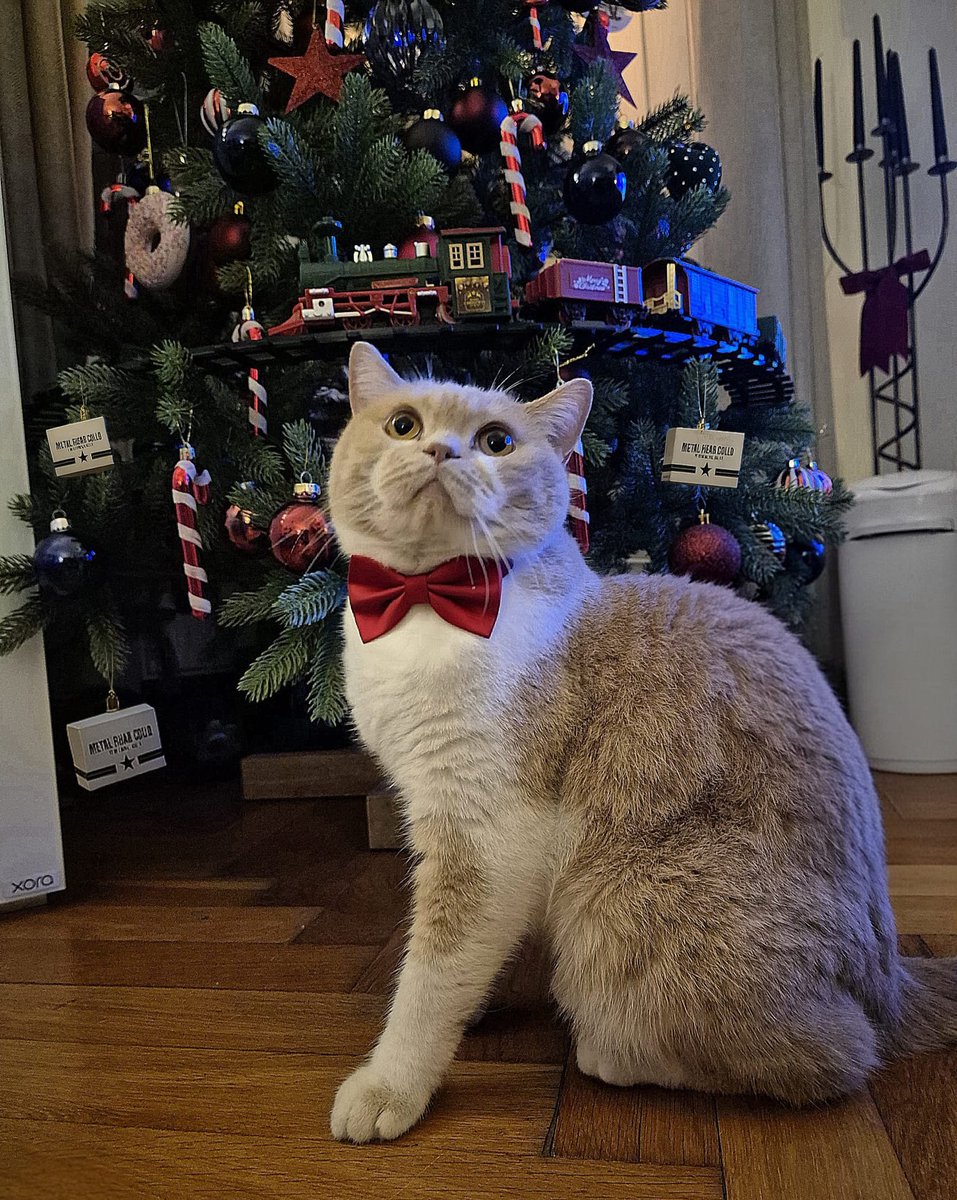 straight_ahead77 🇦🇹🎮⚽ tweet media