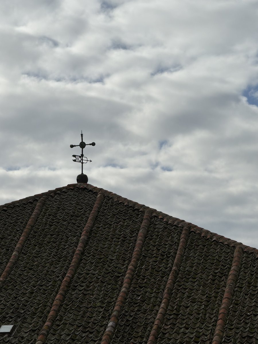 jm (@jalzatev) on Twitter photo 