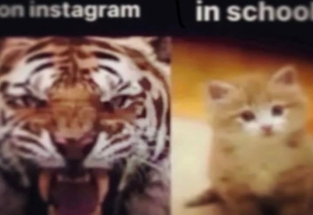 ⛧ (@vamptact) on Twitter photo 