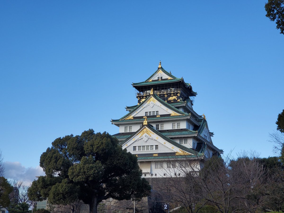 蕎麦の妖精 (@HNKXQ4APhKw1xxF) / Posts / X