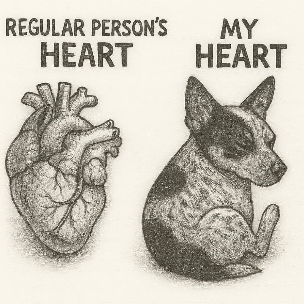 Dog Lovers (@doglovers03) on Twitter photo 