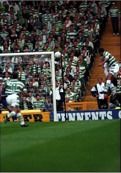 Highland__Paddy tweet media