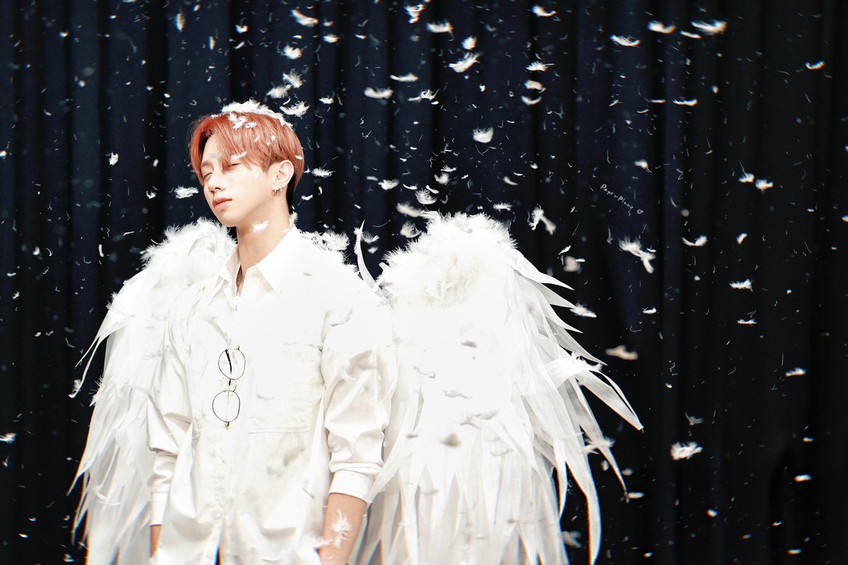 Paperplane.HJ101 tweet media