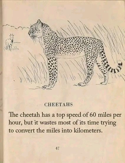 Paulo Santos (@paulborgmeister) on Twitter photo 