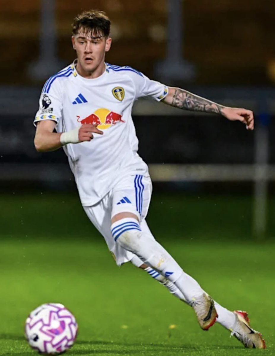 steve💙💛 tweet media