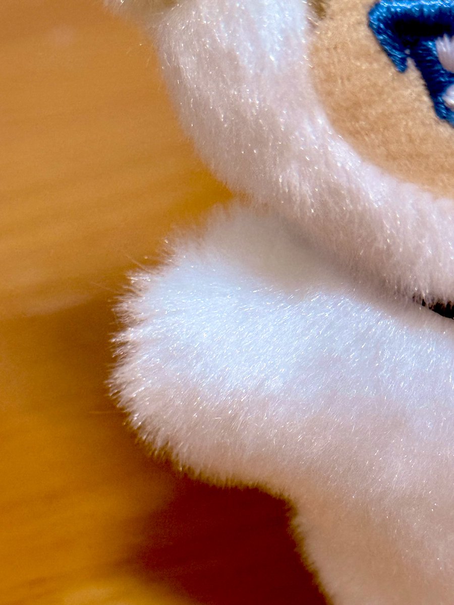 ふわふわのもけけ