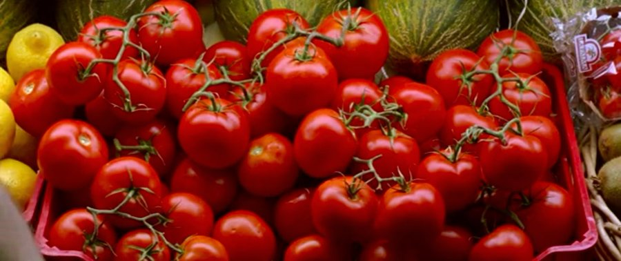 Stephen Gibbons tweet media