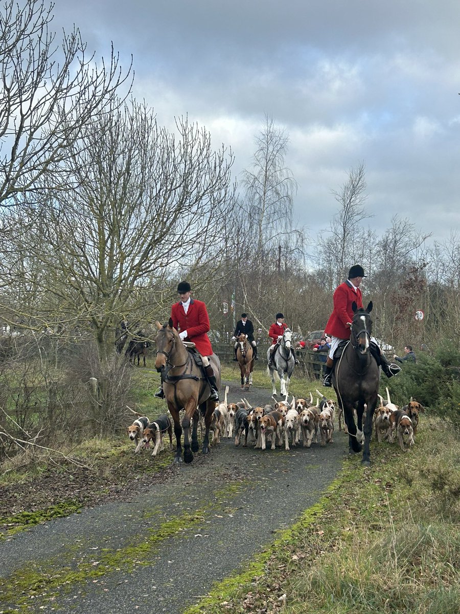 Ronan O Reilly tweet media