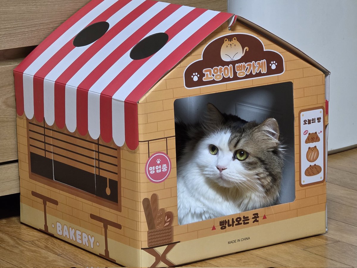 초코마블링식빵