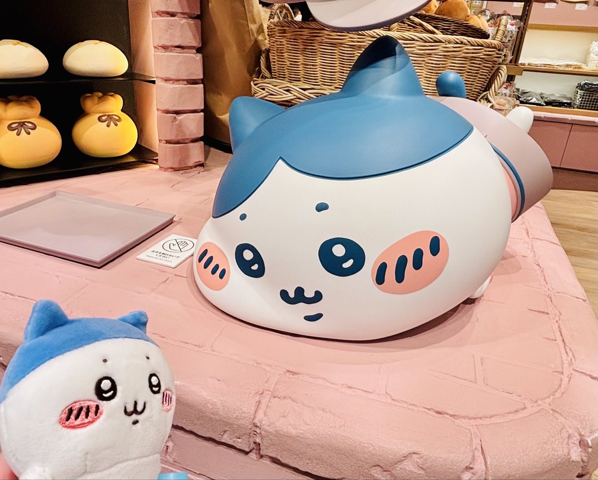 moka⭐️プロフ必須⭐️様　8月１日〜2日 The Future Diary's Moka Nozoe's Age, Profession, Dating Life