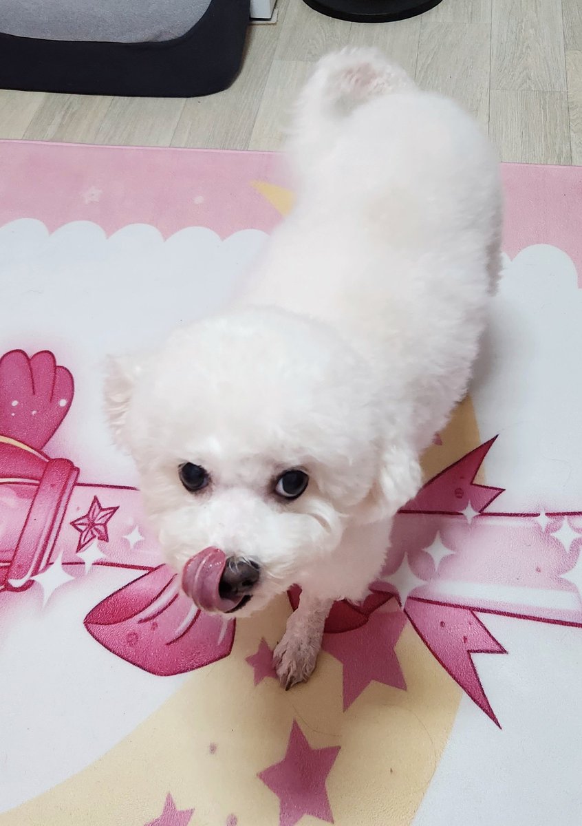Shampoo_Joy's tweet photo. https://t.co/NVjusqkzSX