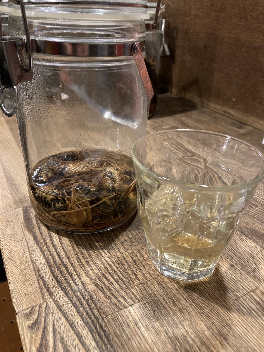 冬虫夏草酒ロック 免疫力の強化や老化防止や生活習慣病に効果あり