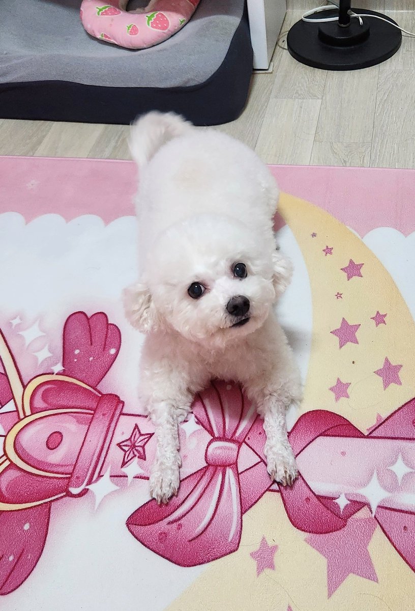 Shampoo_Joy's tweet photo. https://t.co/NVjusqkzSX