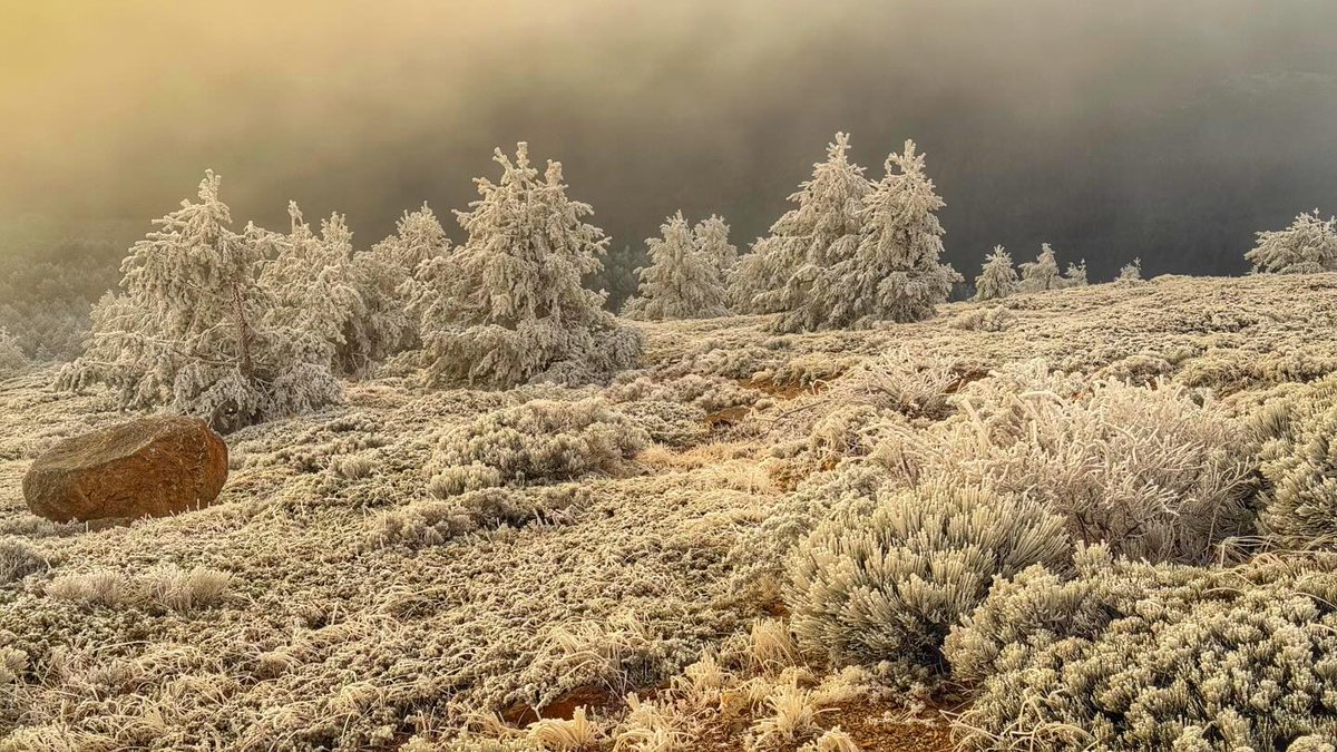 ✅Llega el primer “Aire BIO” del mercado: pura Sierra de Guadarrama en un frasco de cristal 👉 n9.cl/rcza5 🌍