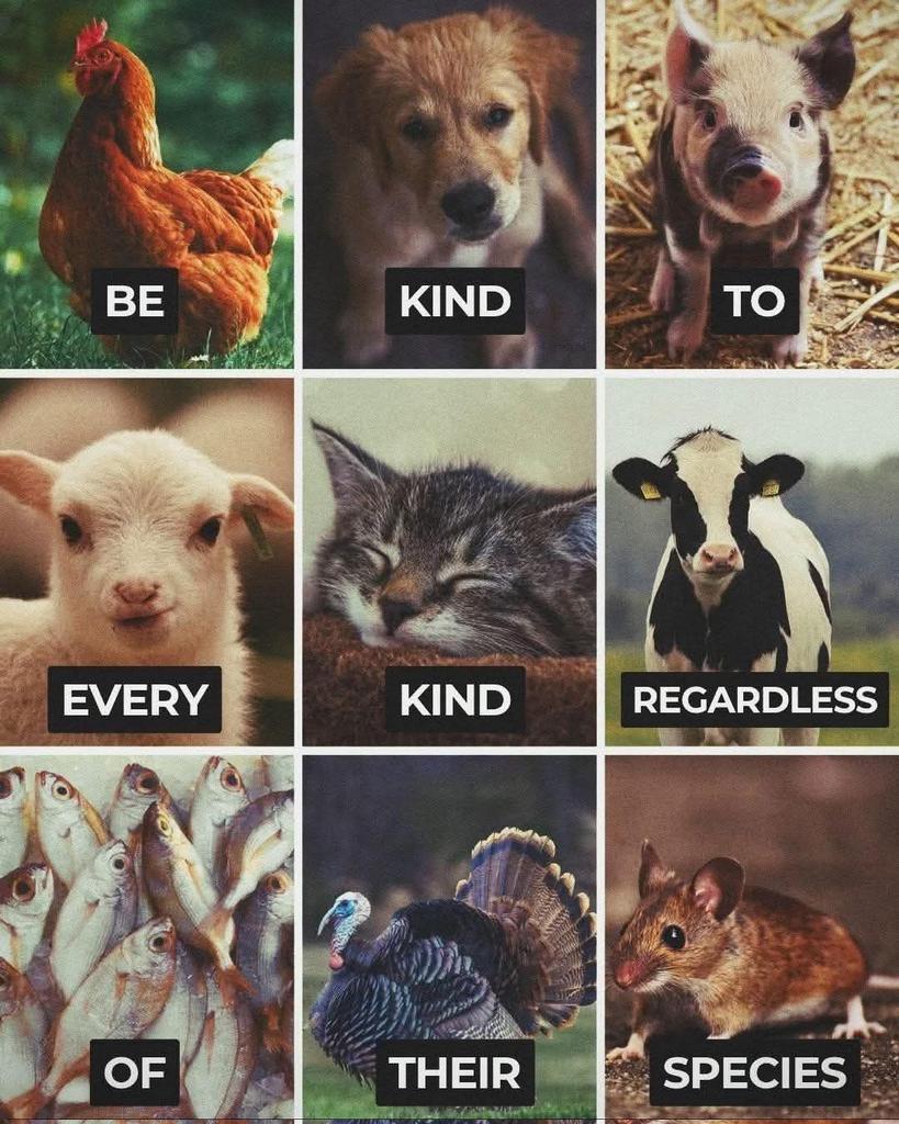 DERVIEMOO's tweet image. 