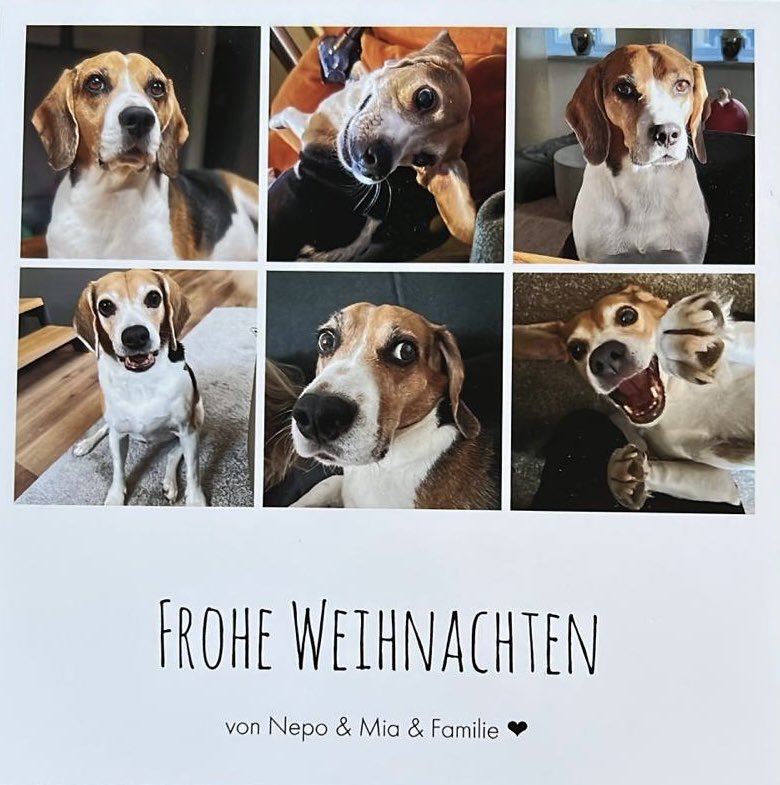 Merry Christmas, pals! 🎄🎄🎄