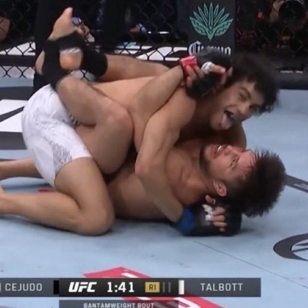 FightVaults's tweet image. Payton Talbott showing Henry Cejudo levels