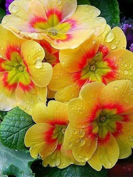 Rabbimizin örneksiz sanatı.. 😍😍😍