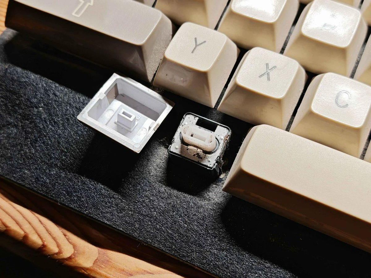 mcmaxmcmc tweet media