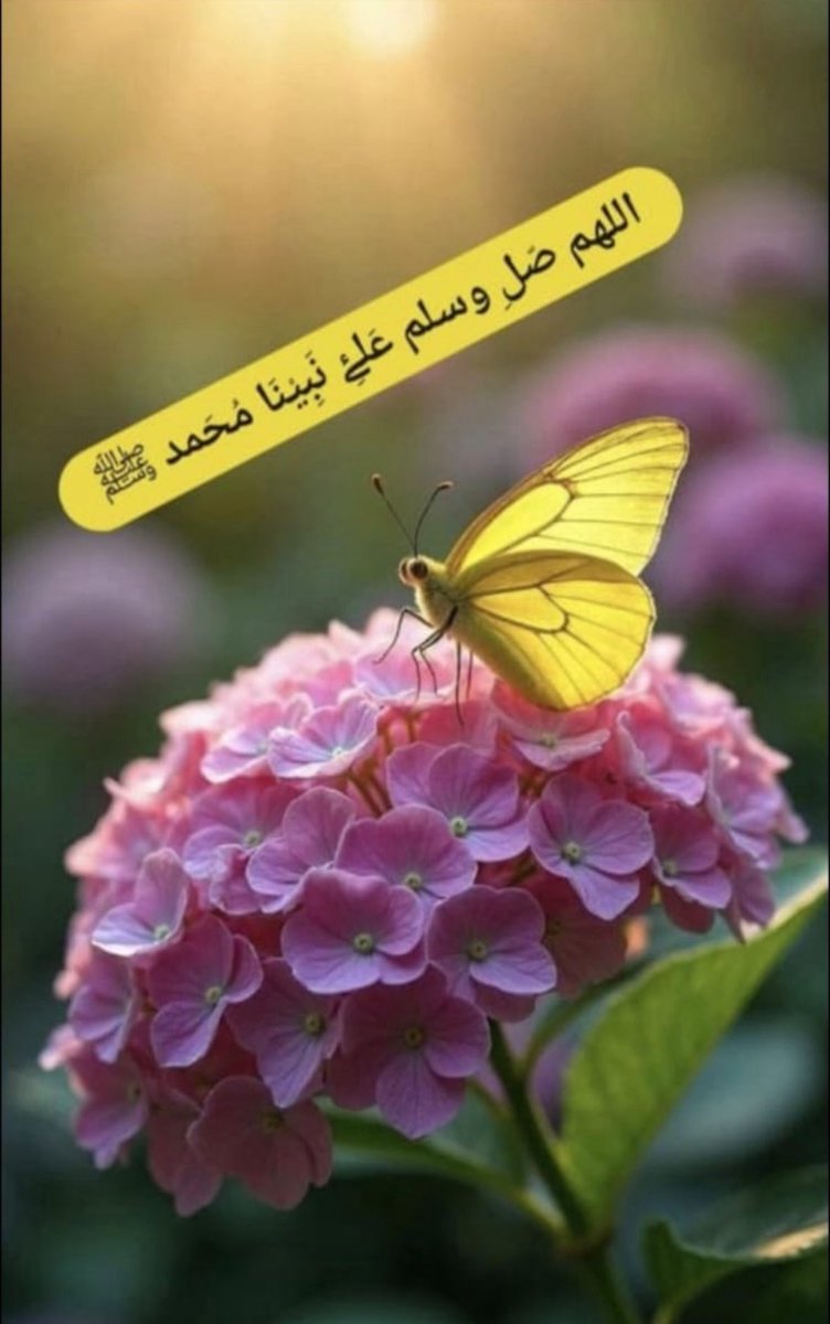 خياليه tweet media