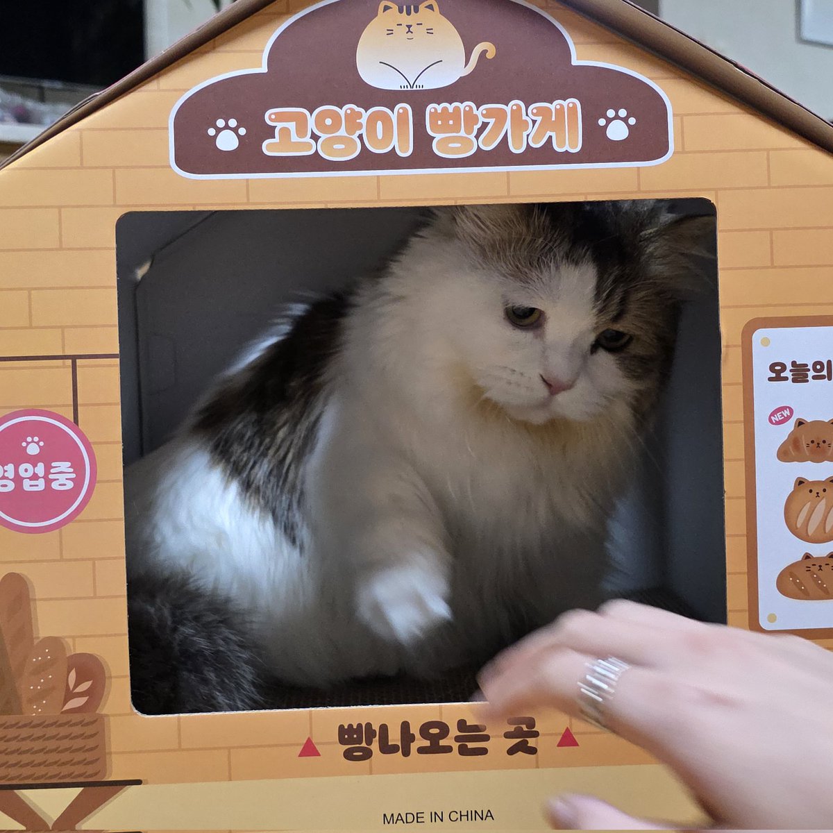 ★☆☆☆☆
사장님 성격이 나빠요
