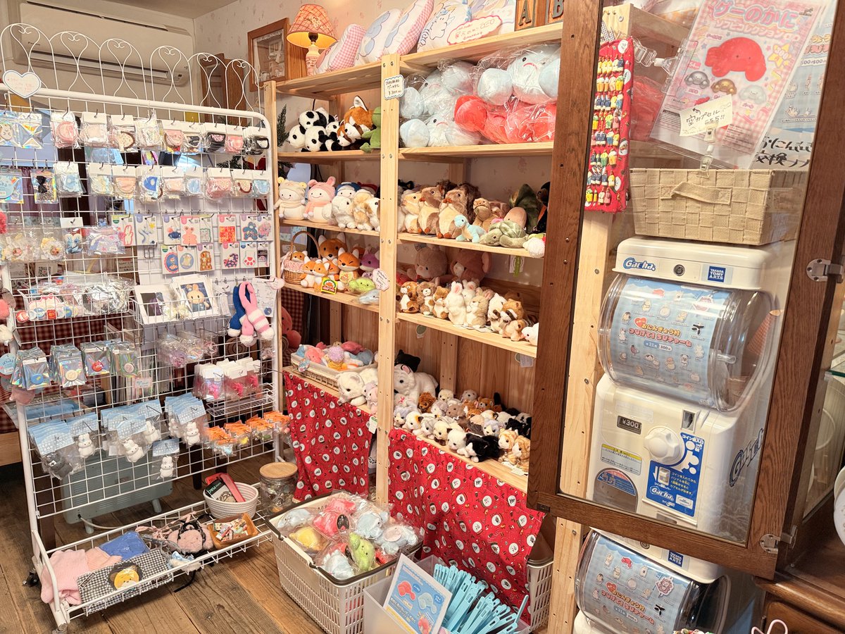 oningyomura's tweet photo. ぬいぐるみ好きがあつまるあたたかいお店が作りたくて、おにんぎょうを作ったお金をほとんど使ってお店をつくったよ♡

みんな遊びにきてね❣️
年末は、２８日日曜日までオープン❣️
１月は６日からお店あけ〼

実店舗の情報はInstagram fancyribbonclub_kyotoにて❣️ https://t.co/5G22KxolN7