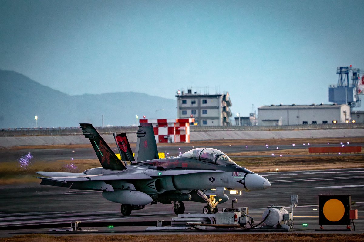 美ら空の防人(夢...) tweet media