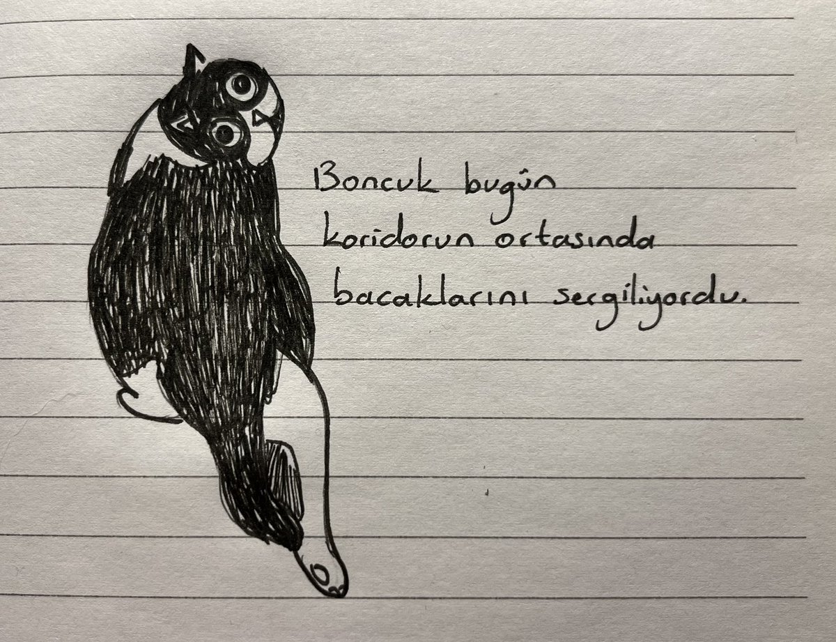 Daily Boncuk tweet media