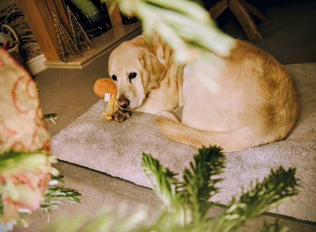 Jo Adams tweet media