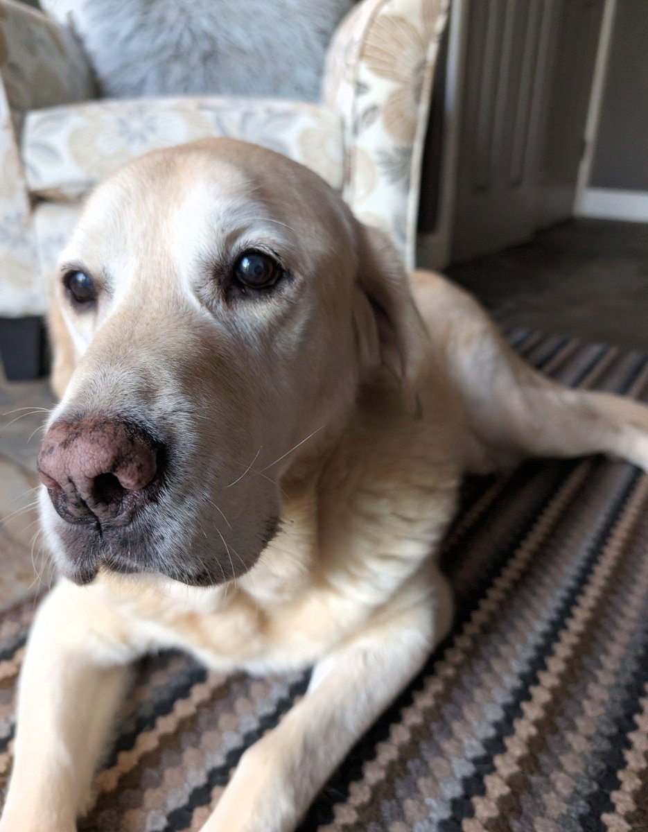 Jo Adams tweet media