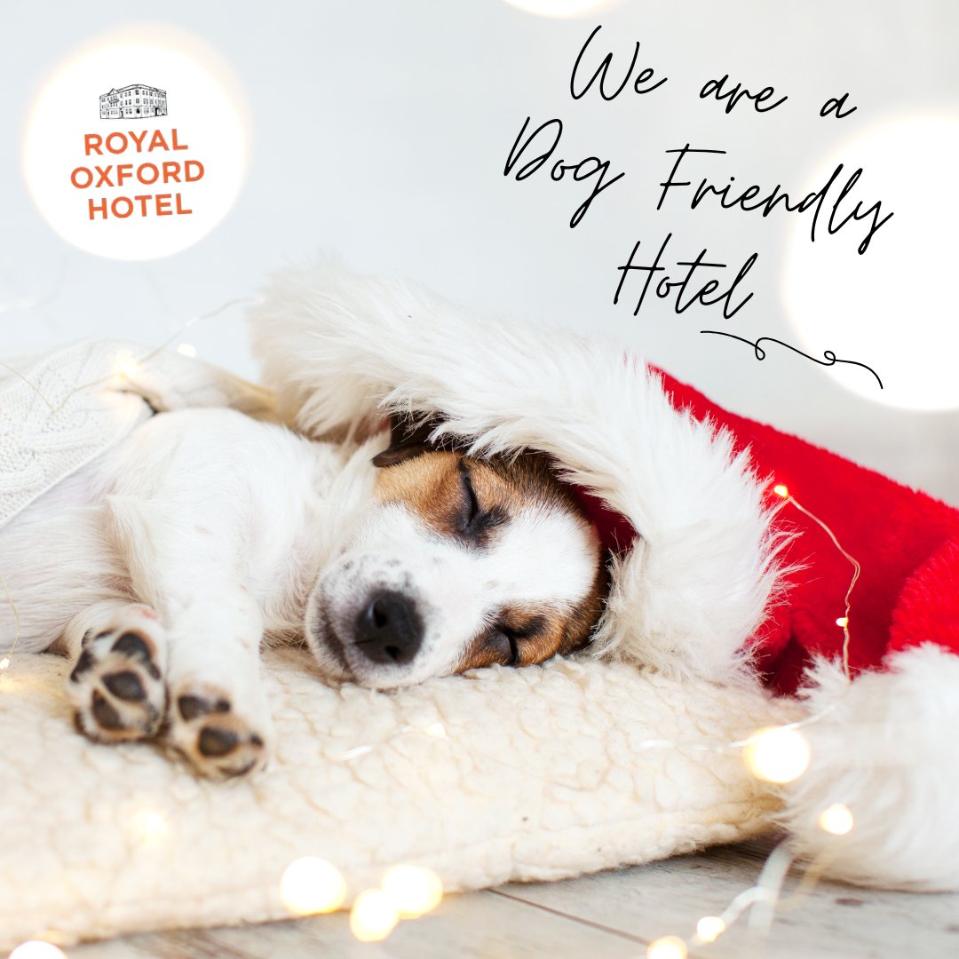 Dogs deserve a holiday too. Book a pet-friendly stay at the Royal Oxford Hotel and explore Oxford together. 

royaloxfordhotel.co.uk