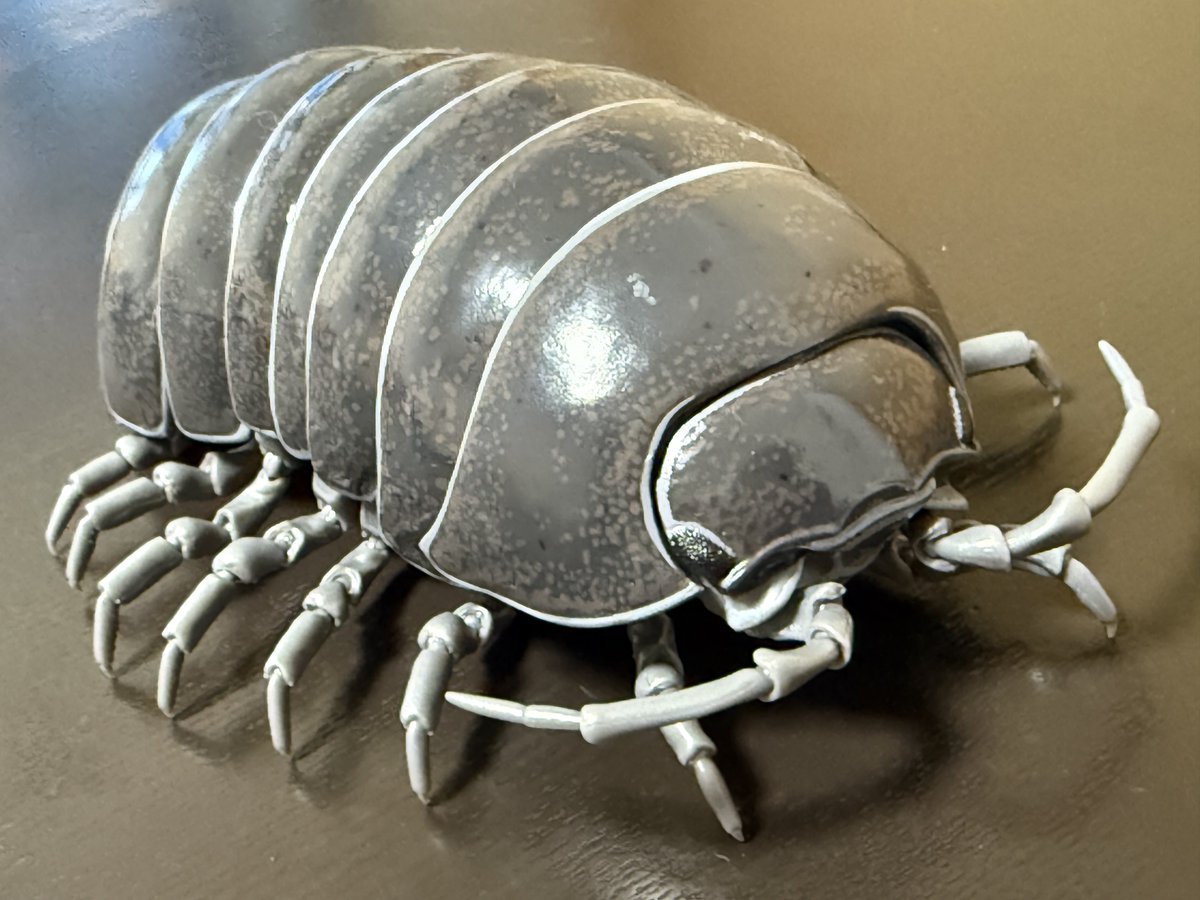 ダンゴムシ様 7f1eada1fc2ff6282a129e5a2a009d