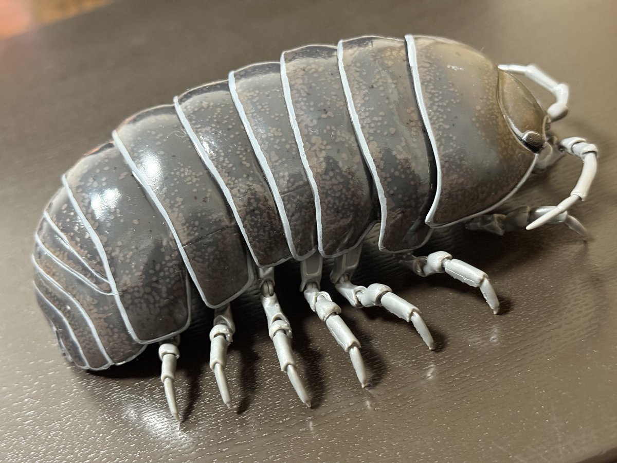 ダンゴムシ様 2d84a7b71af489b2a92cb587c928c0