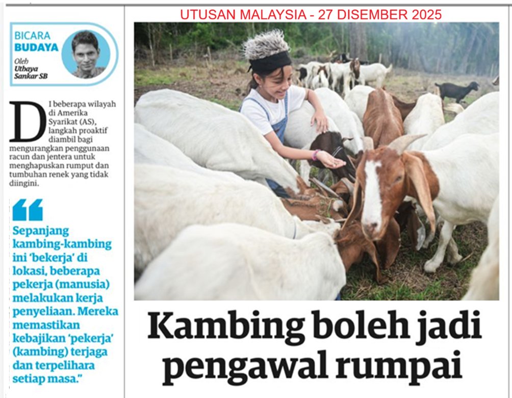 Melihat amalan di Amerika Syarikat – mungkin sesuai diamalkan di negara kita.

Utusan Malaysia, 27 Disember 2025 (Sabtu).

<a href="/UMonline/">Utusan Malaysia</a>