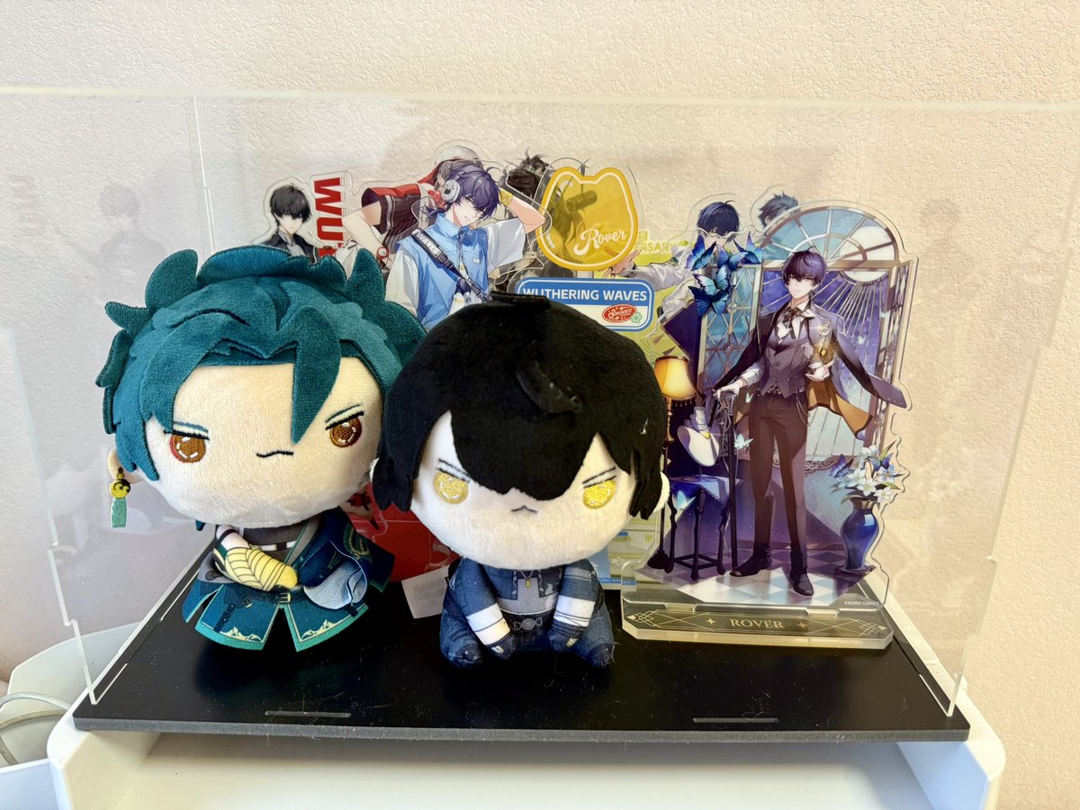 WinterFish20's tweet image. 这俩大头娃娃太可爱了，最棒的毛绒😭❤️