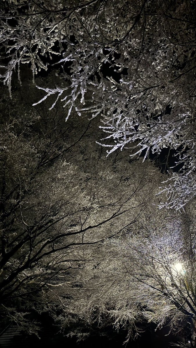 sato_miso's tweet photo. 雪が少し降ってきました。うっすらの雪です。

#民宿大原の里
#大原温泉
#味噌庵
#日帰り温泉
#鯖の味噌煮
#京都大原 https://t.co/vbDjZfu425