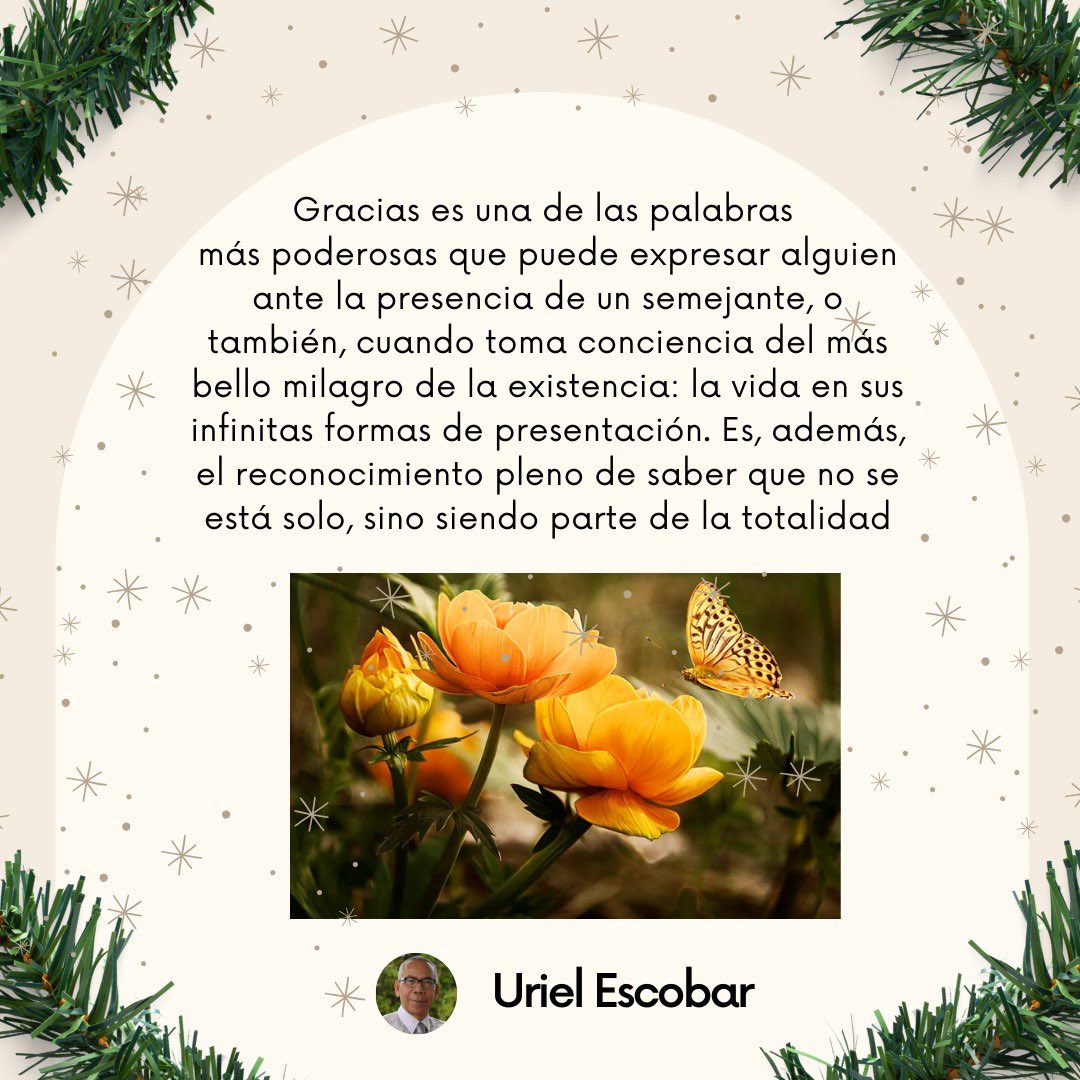 #FelicidadesEnNavidadYAñoNuevo. Buen día 🙏