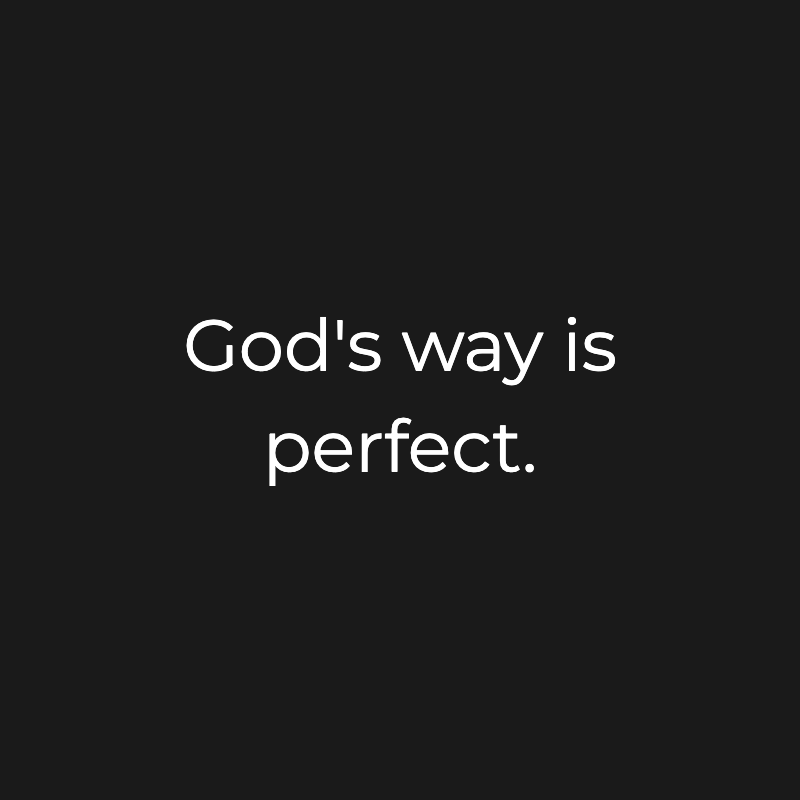 GodlyPhilosophy's tweet image. 