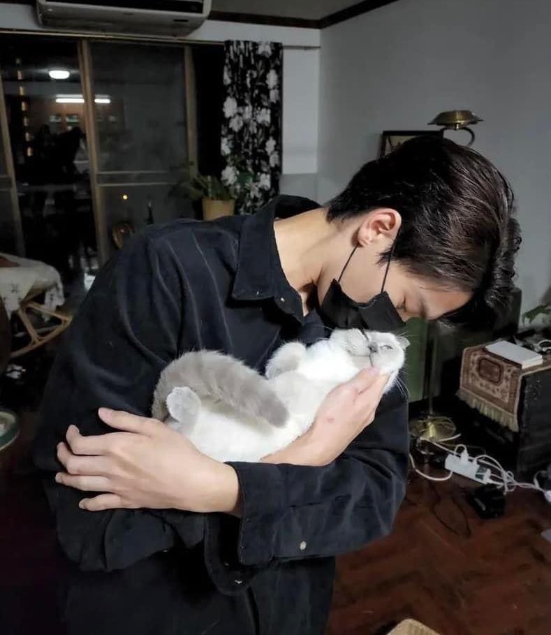 kittynaniez's tweet image. shoutout to dew with cats, gotta be one of my favorite genders