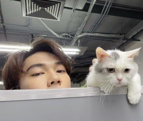 kittynaniez's tweet image. shoutout to dew with cats, gotta be one of my favorite genders